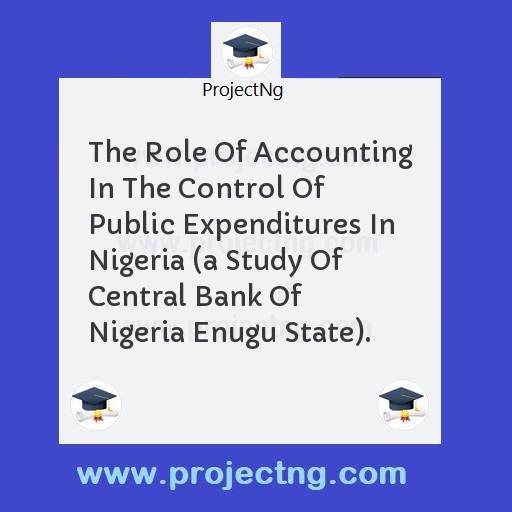The Role Of Accounting In The Control Of Public Expenditures In Nigeria 