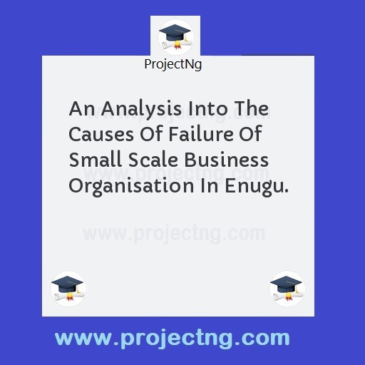 An Analysis Into The Causes Of Failure Of Small Scale Business Organisation In Enugu.