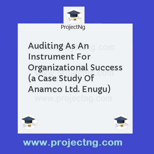 Auditing As An Instrument For Organizational Success 