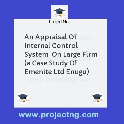 An Appraisal Of Internal Control System  On Large Firm 