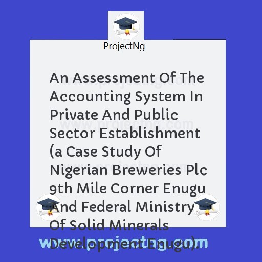 An Assessment Of The Accounting System In Private And Public Sector Establishment 