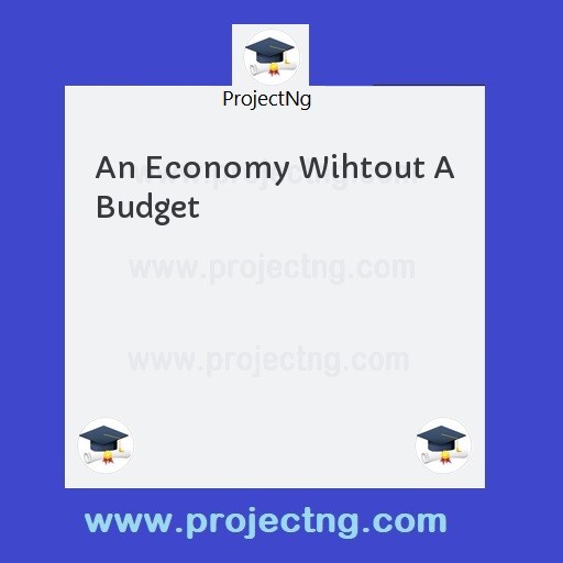 An Economy Wihtout A Budget