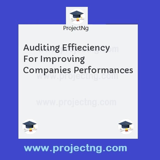 Auditing Effieciency For Improving Companies Performances