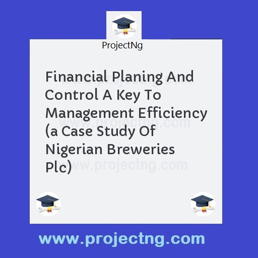 Financial Planing And Control A Key To Management Efficiency 