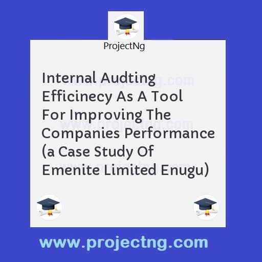 Internal Audting Efficinecy As A Tool For Improving The Companies Performance 