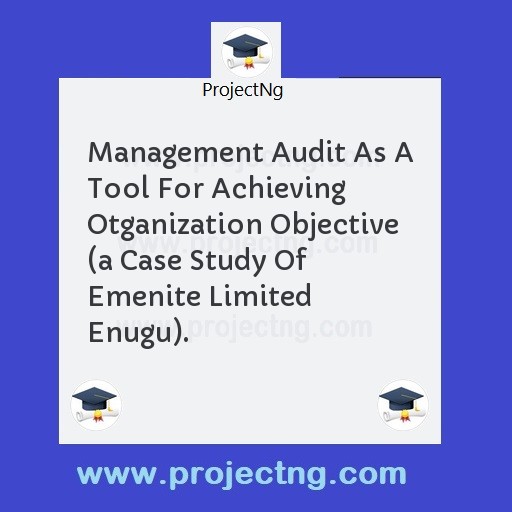 Management Audit As A Tool For Achieving Otganization Objective 