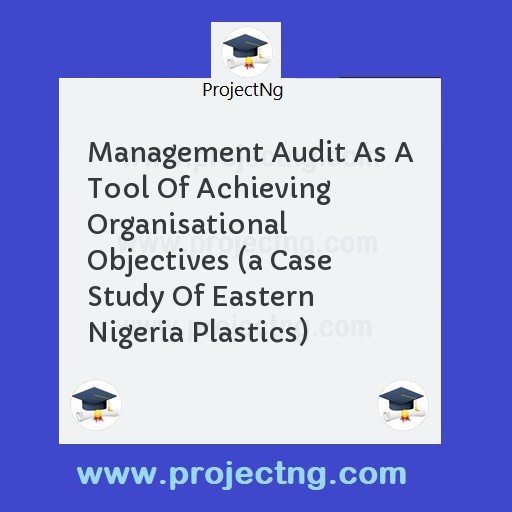 Management Audit As A Tool Of Achieving Organisational Objectives 