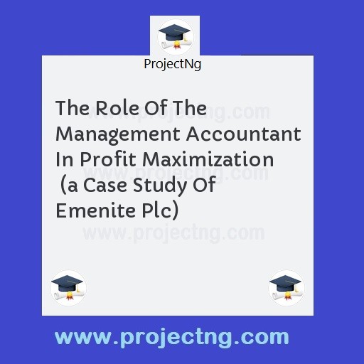 The Role Of The Management Accountant In Profit Maximization  