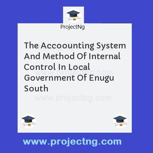 The Accoounting System And Method Of Internal Control In Local Government Of Enugu South