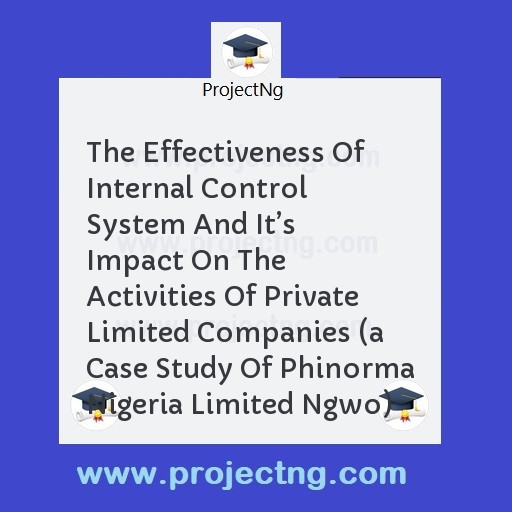 The Effectiveness Of Internal Control System And Itâ€™s Impact On The Activities Of Private Limited Companies 