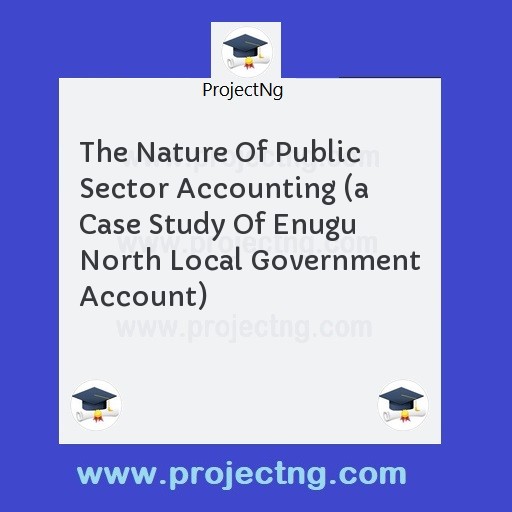The Nature Of Public Sector Accounting 