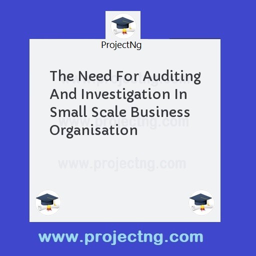 The Need For Auditing And Investigation In Small Scale Business Organisation