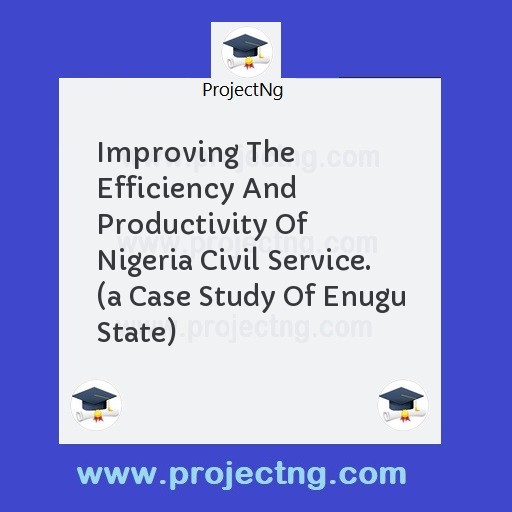 Improving The Efficiency And Productivity Of Nigeria Civil Service. 