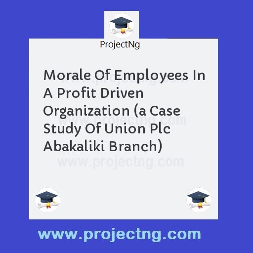 Morale Of Employees In A Profit Driven Organization 