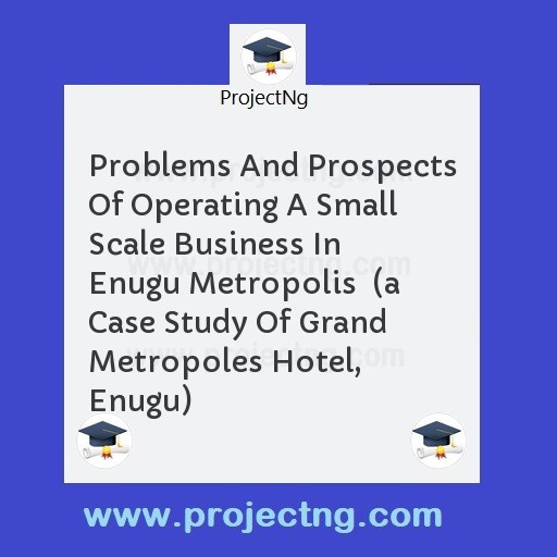 Problems And Prospects Of Operating A Small Scale Business In Enugu Metropolis  