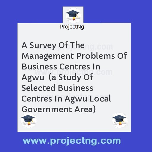 A Survey Of The Management Problems Of Business Centres In Agwu  
