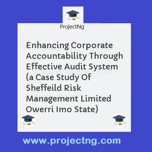 Enhancing Corporate Accountability Through Effective Audit System 