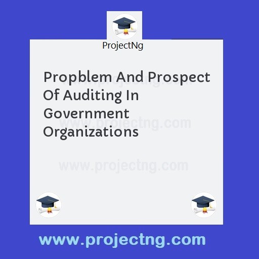 Propblem And Prospect Of Auditing In Government Organizations
