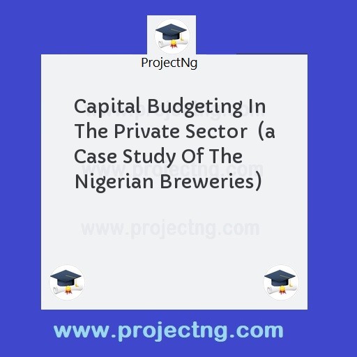 Capital Budgeting In The Private Sector  