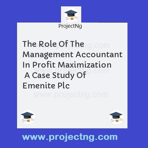 The Role Of The Management Accountant In Profit Maximization  A Case Study Of Emenite Plc