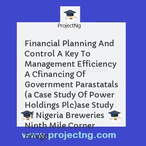 Financial Planning And Control A Key To Management Efficiency A Cfinancing Of Government Parastatals 