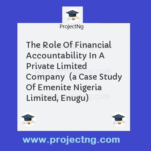 The Role Of Financial Accountability In A Private Limited Company  