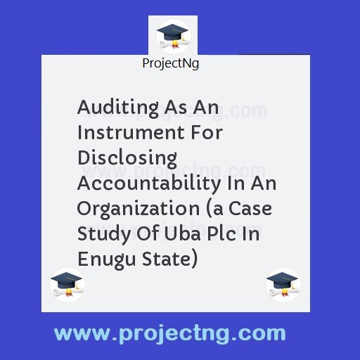 Auditing As An Instrument For Disclosing Accountability In An Organization 