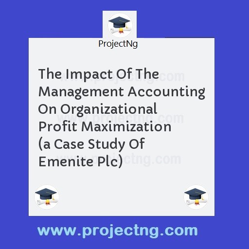 The Impact Of The Management Accounting On Organizational Profit Maximization   