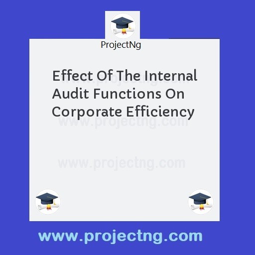 Effect Of The Internal Audit Functions On Corporate Efficiency
