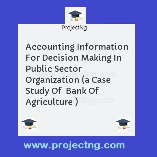 Accounting Information For Decision Making In Public Sector Organization 