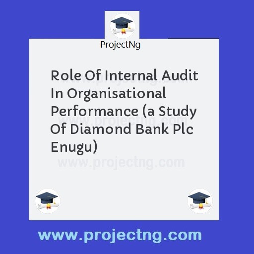 Role Of Internal Audit In Organisational Performance 