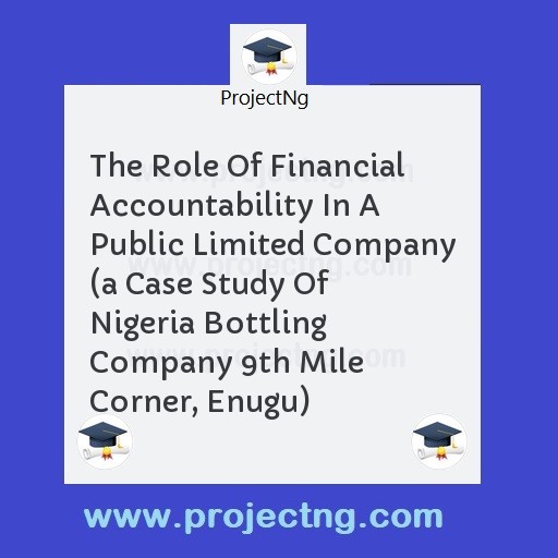 The Role Of Financial Accountability In A Public Limited Company 