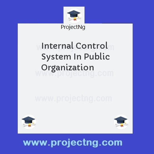 Internal Control System In Public Organization