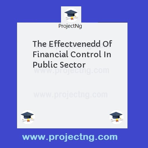 The Effectvenedd Of Financial Control In Public Sector