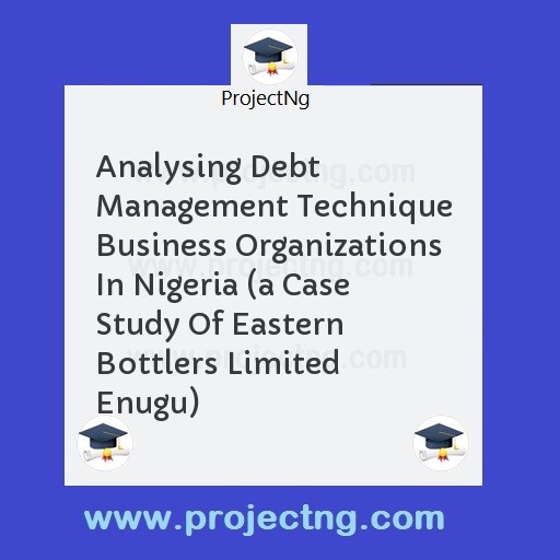 Analysing Debt Management Technique Business Organizations In Nigeria 