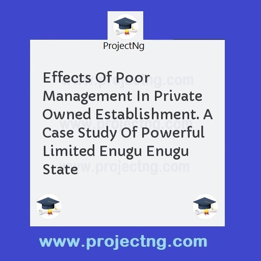 Effects Of Poor Management In Private Owned Establishment. A Case Study Of Powerful Limited Enugu Enugu State