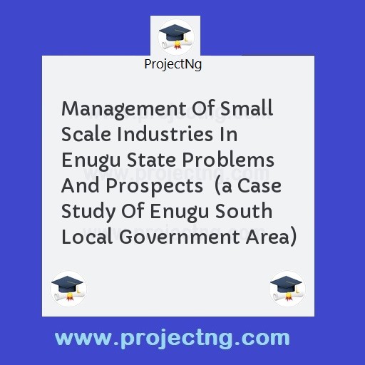 Management Of Small Scale Industries In Enugu State Problems And Prospects  