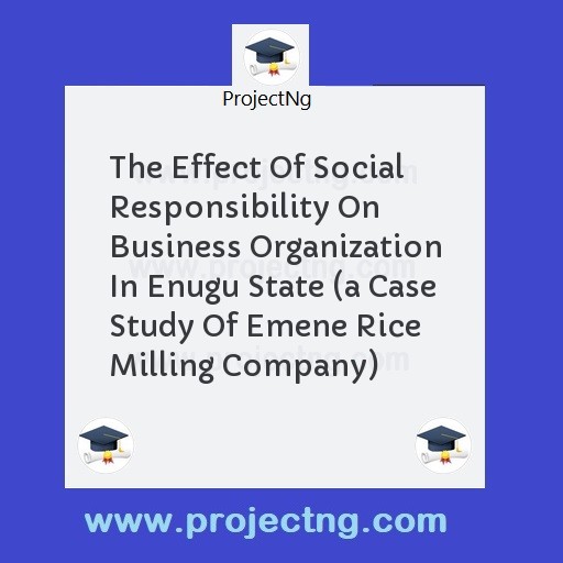 The Effect Of Social Responsibility On Business Organization In Enugu State 