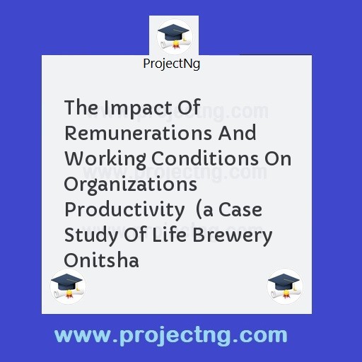 The Impact Of Remunerations And Working Conditions On Organizations Productivity  