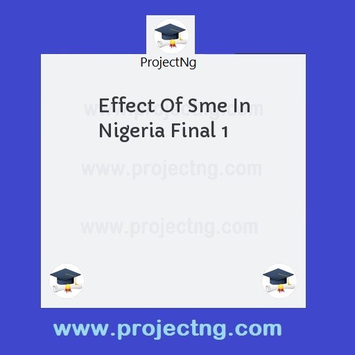 Effect Of Sme In Nigeria Final 1