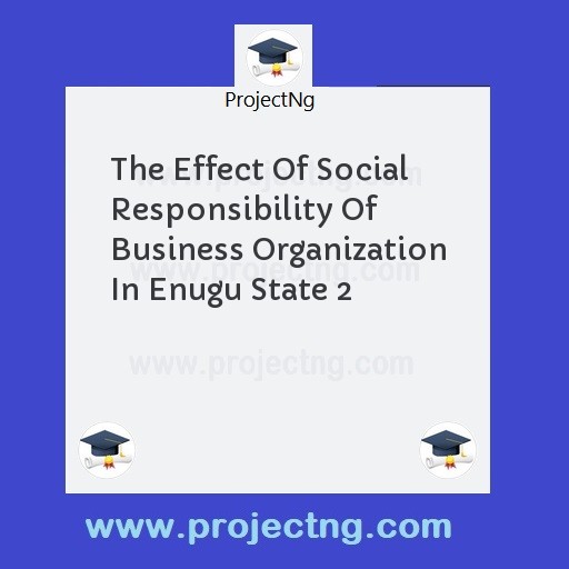 The Effect Of Social Responsibility Of Business Organization In Enugu State 2
