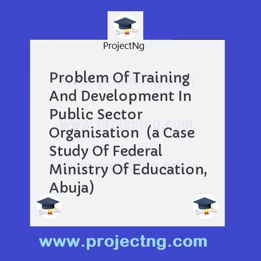 Problem Of Training And Development In Public Sector Organisation  