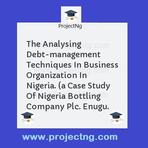 The Analysing Debt-management Techniques In Business Organization In Nigeria. 