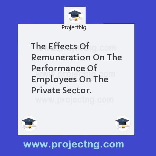 The Effects Of Remuneration On The Performance Of Employees On The Private Sector.