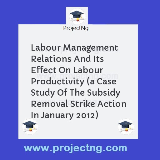 Labour Management Relations And Its Effect On Labour Productivity 