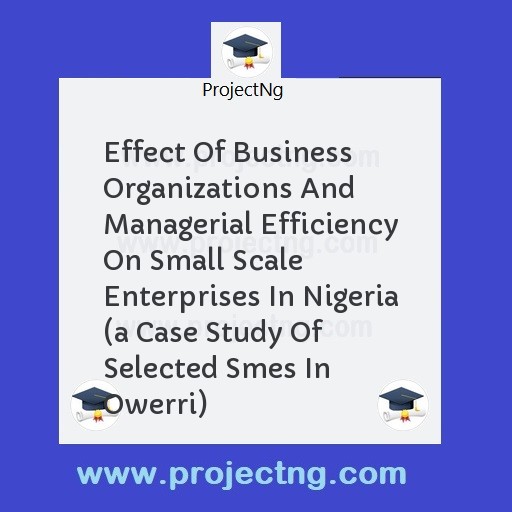 Effect Of Business Organizations And Managerial Efficiency On Small Scale Enterprises In Nigeria 