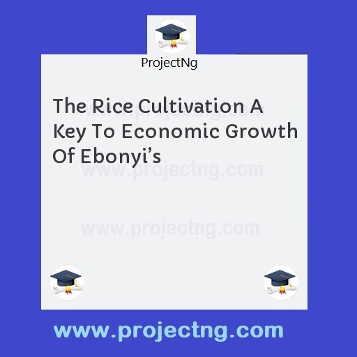The Rice Cultivation A Key To Economic Growth Of Ebonyi’s