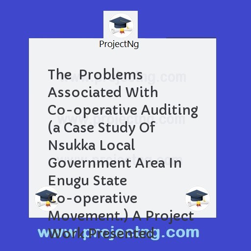 The  Problems Associated With Co-operative Auditing 