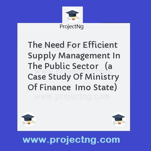 The Need For Efficient Supply Management In The Public Sector   