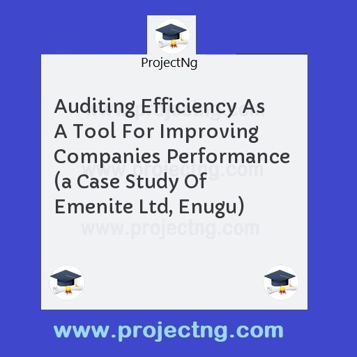 Auditing Efficiency As A Tool For Improving  Companies Performance  